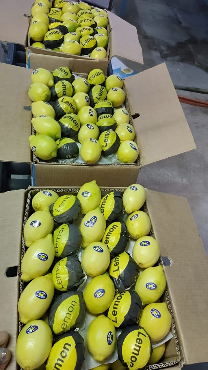 Limone from Egitto